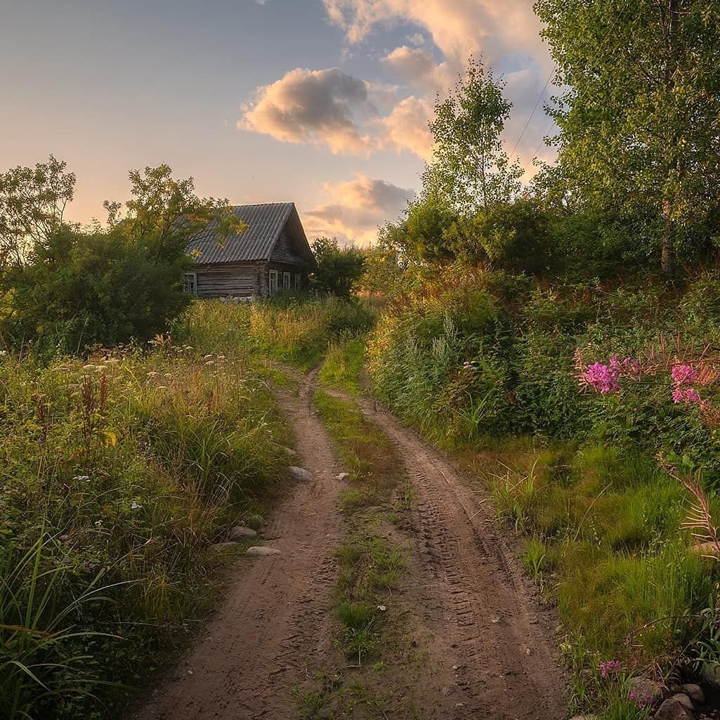 Деревенские пейзажи природы