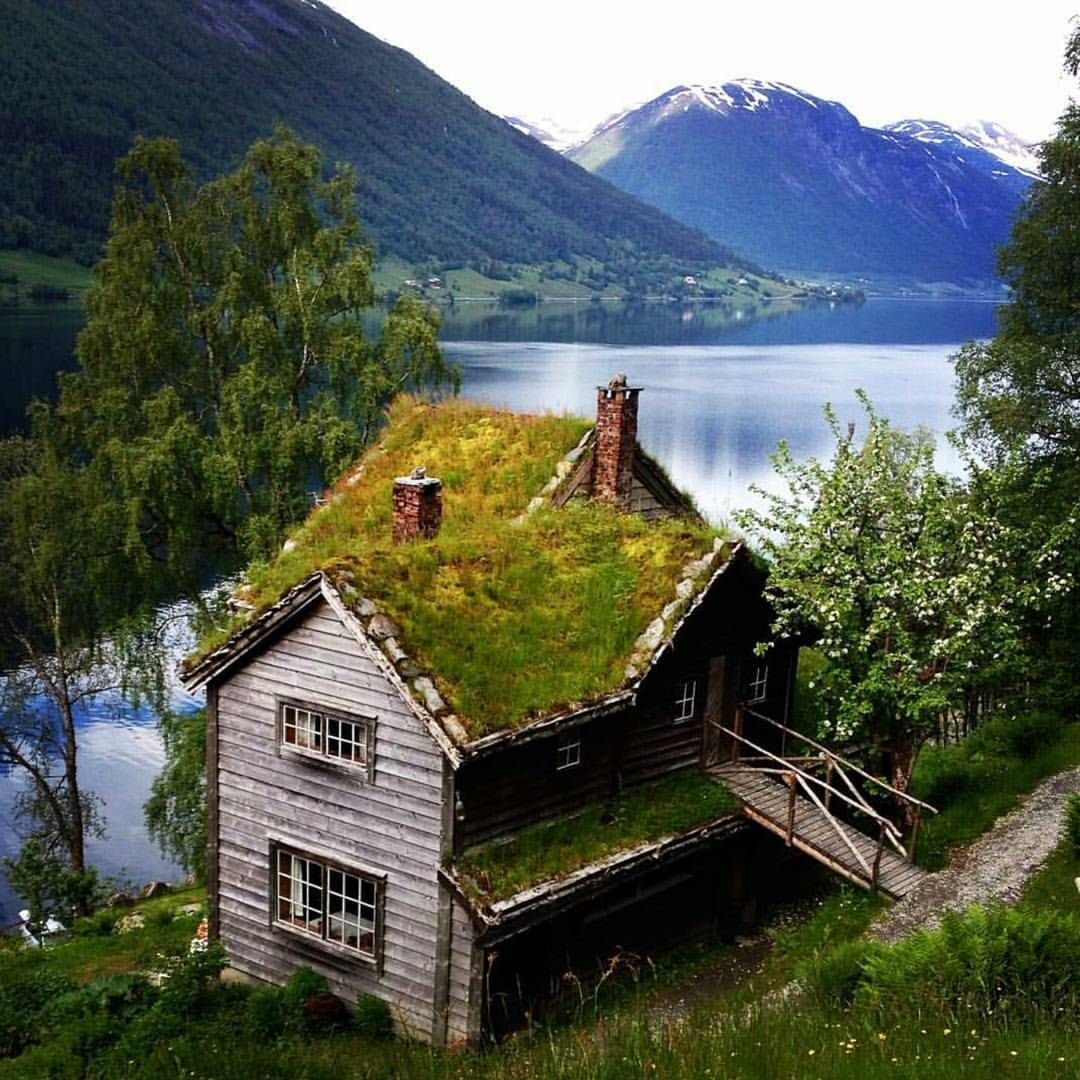 Домик в норвегии. Норвегия архитектура фьорды. Норвегия домики. Норвежский домик в лесу. Норвегия домики в горах.