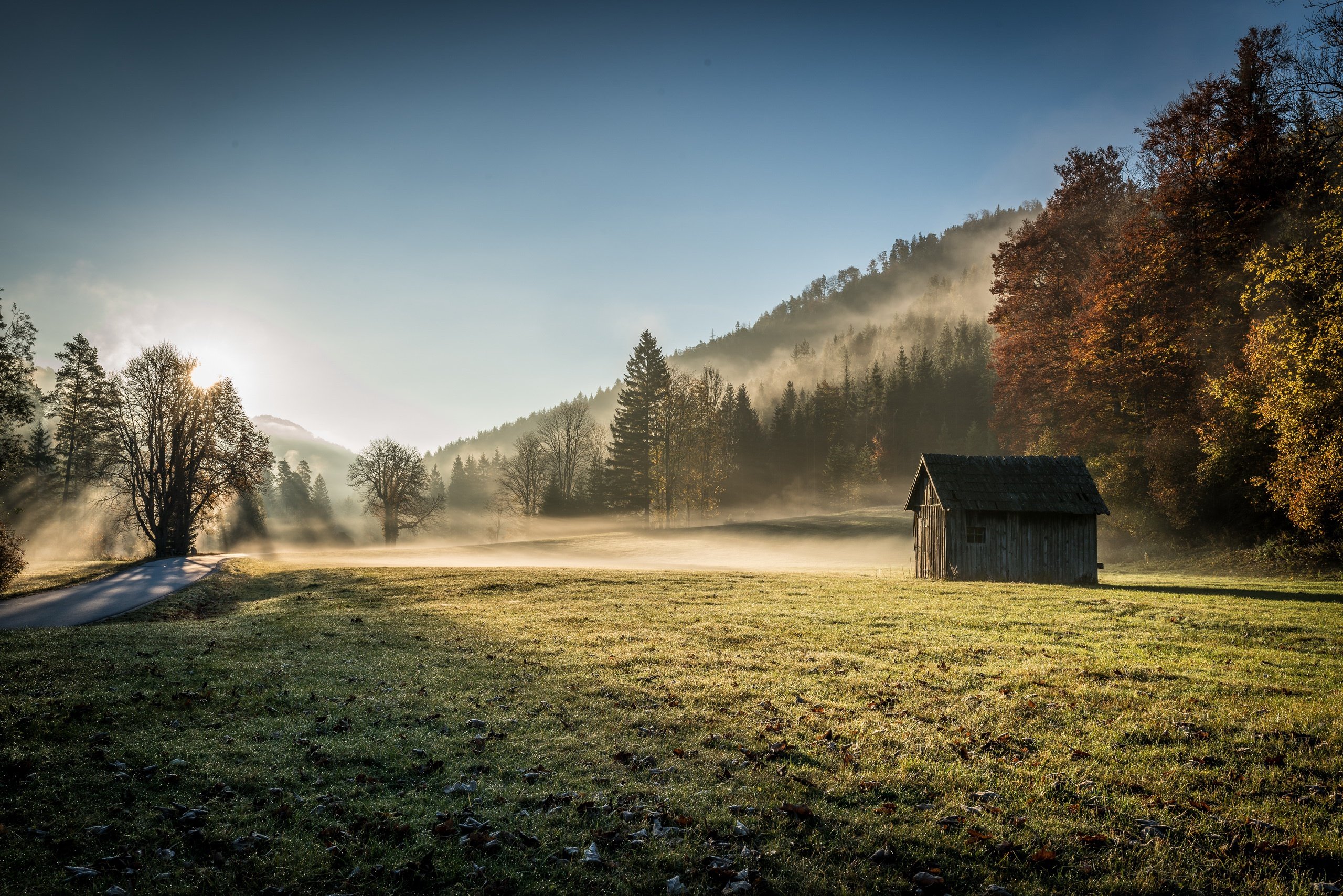 Morning house. Домик в лесу. Одинокий домик в деревне. Пейзаж туман. Дом лес туман гора.