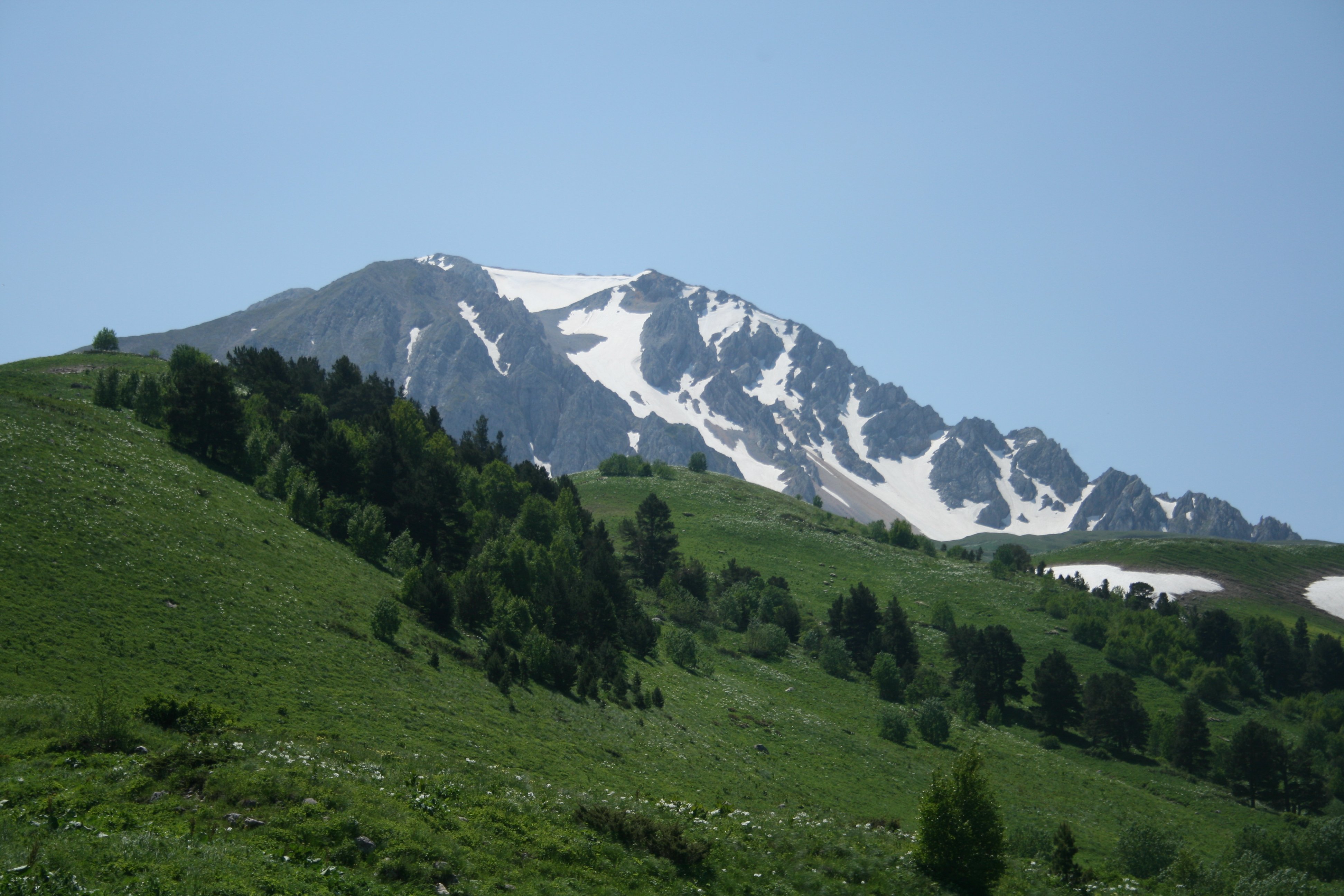 Плато Лаго Наки Альпийские Луга