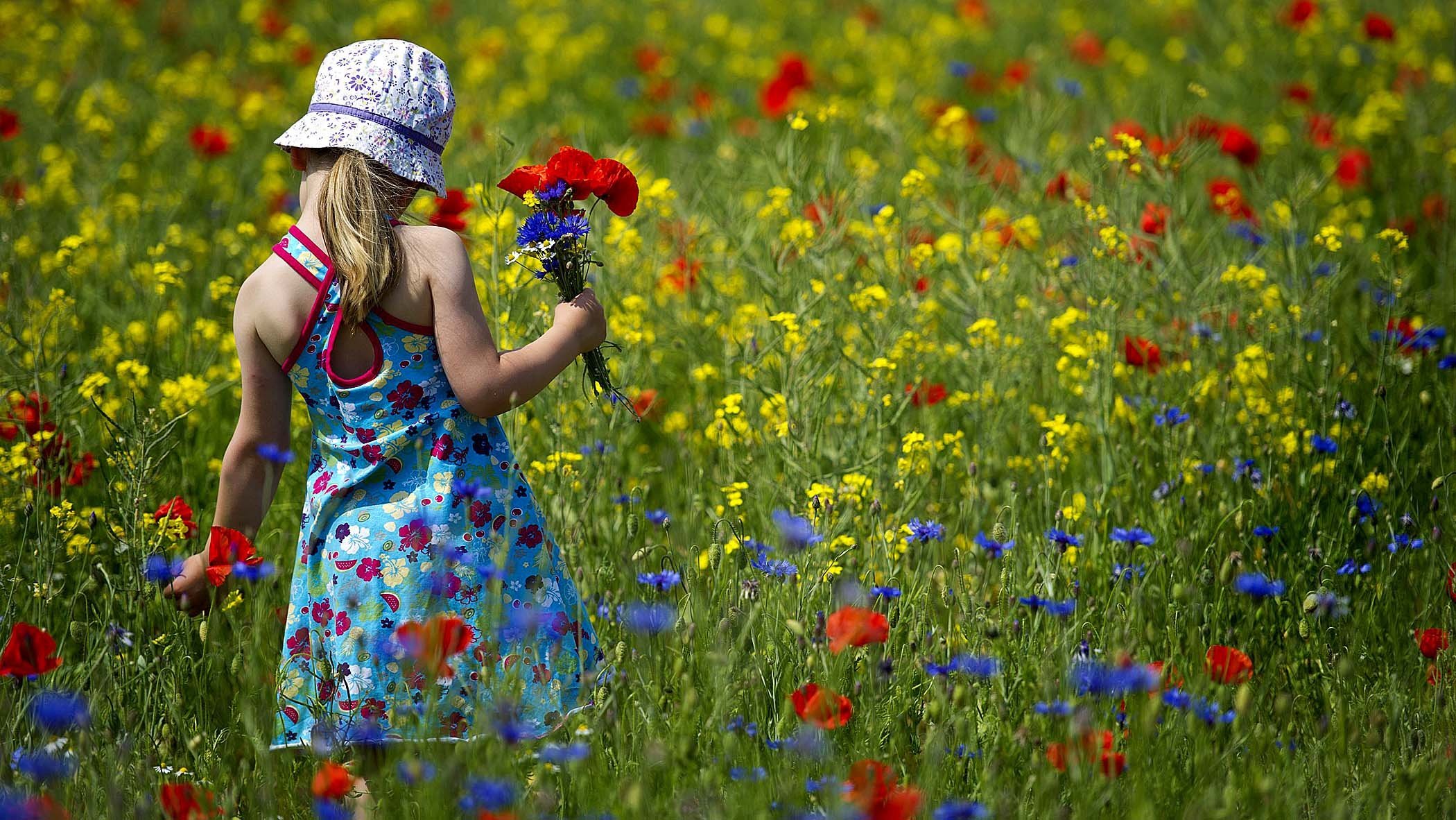 Are you picking flowers at the moment. Собирать цветы. Дети на лугу. Полевые цветы соберу. Девушка среди цветов.