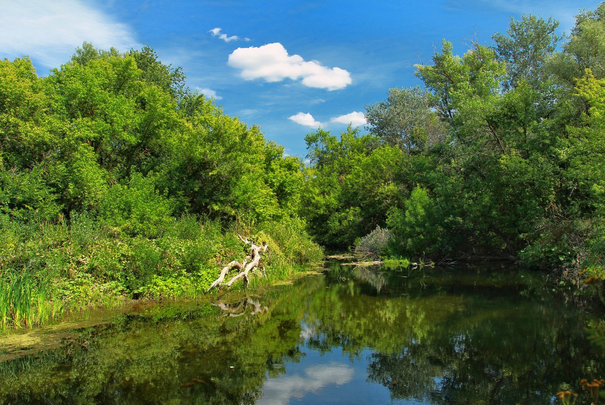 Река бузулук фото