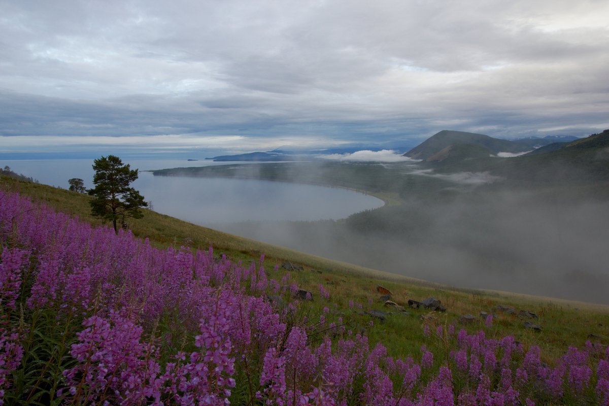 Фото климат байкала