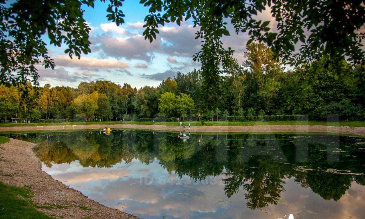 Золотой пруд в сокольниках фото