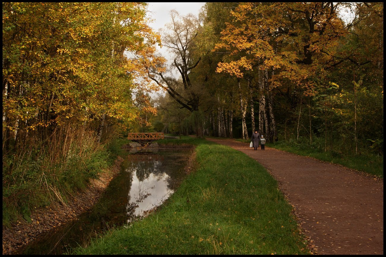 Путяевские пруды в Сокольниках осень