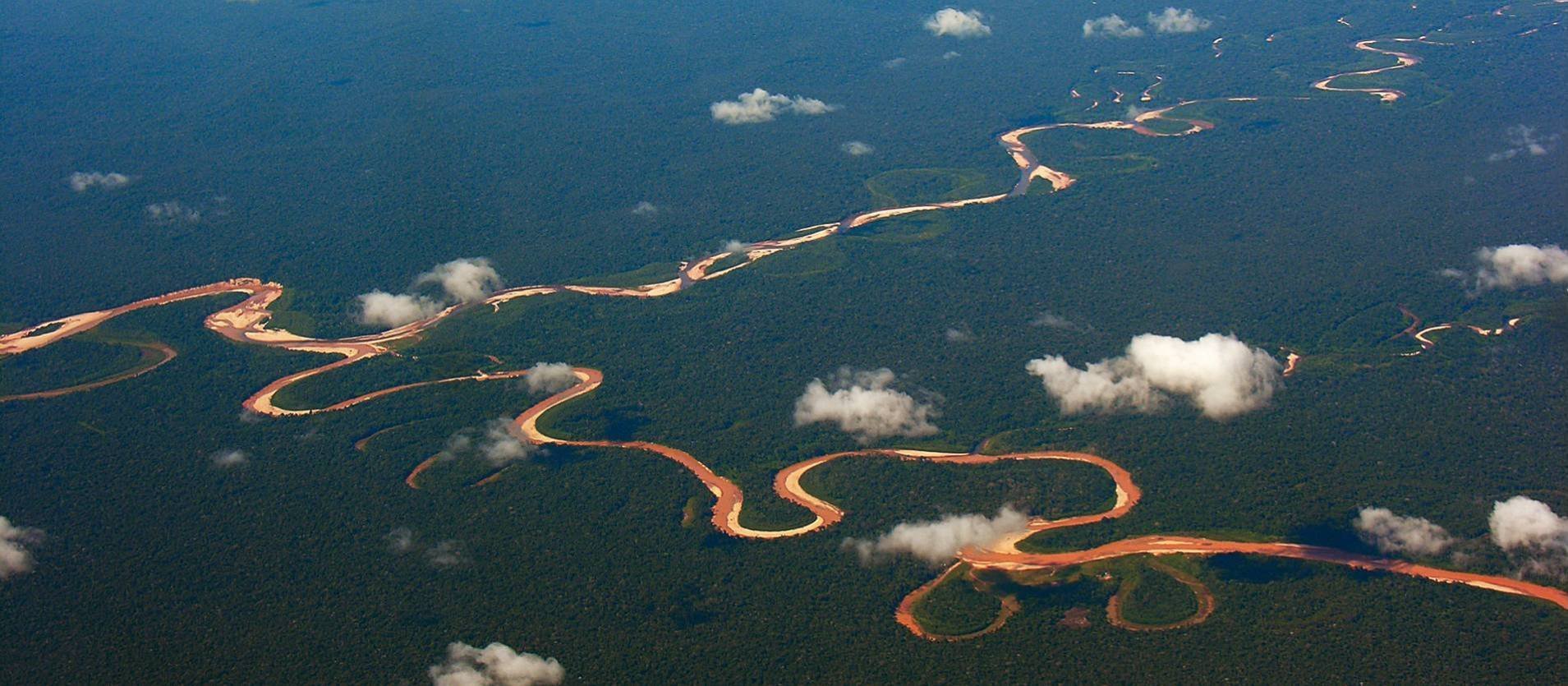 Амазонка какое устье