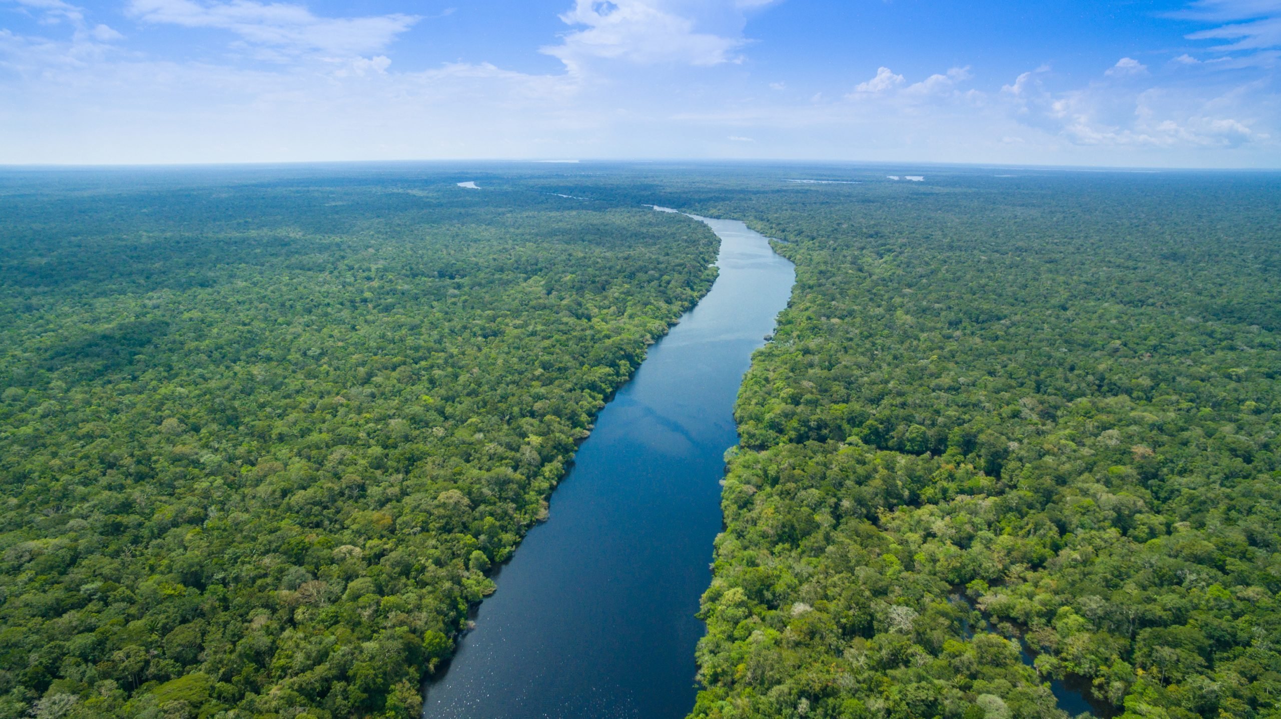 Ея 10. Лонг река. The longest River in the World. The Amazon is long River in the World. Which is the longest River in the World.