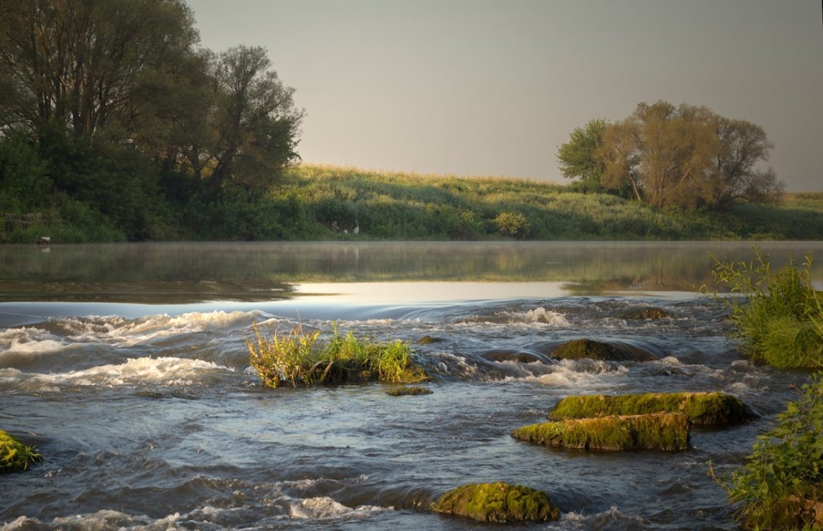 Река сосна Липецкой области вода