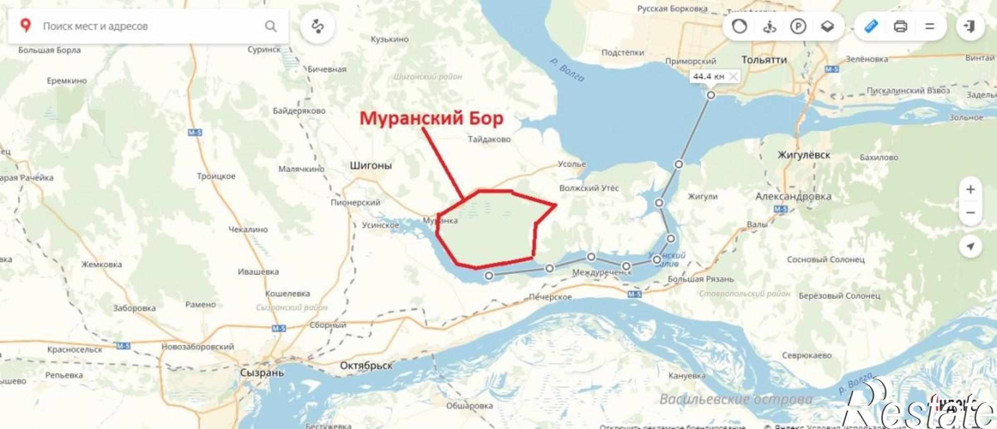 Муранский Бор Шигонский район на карте