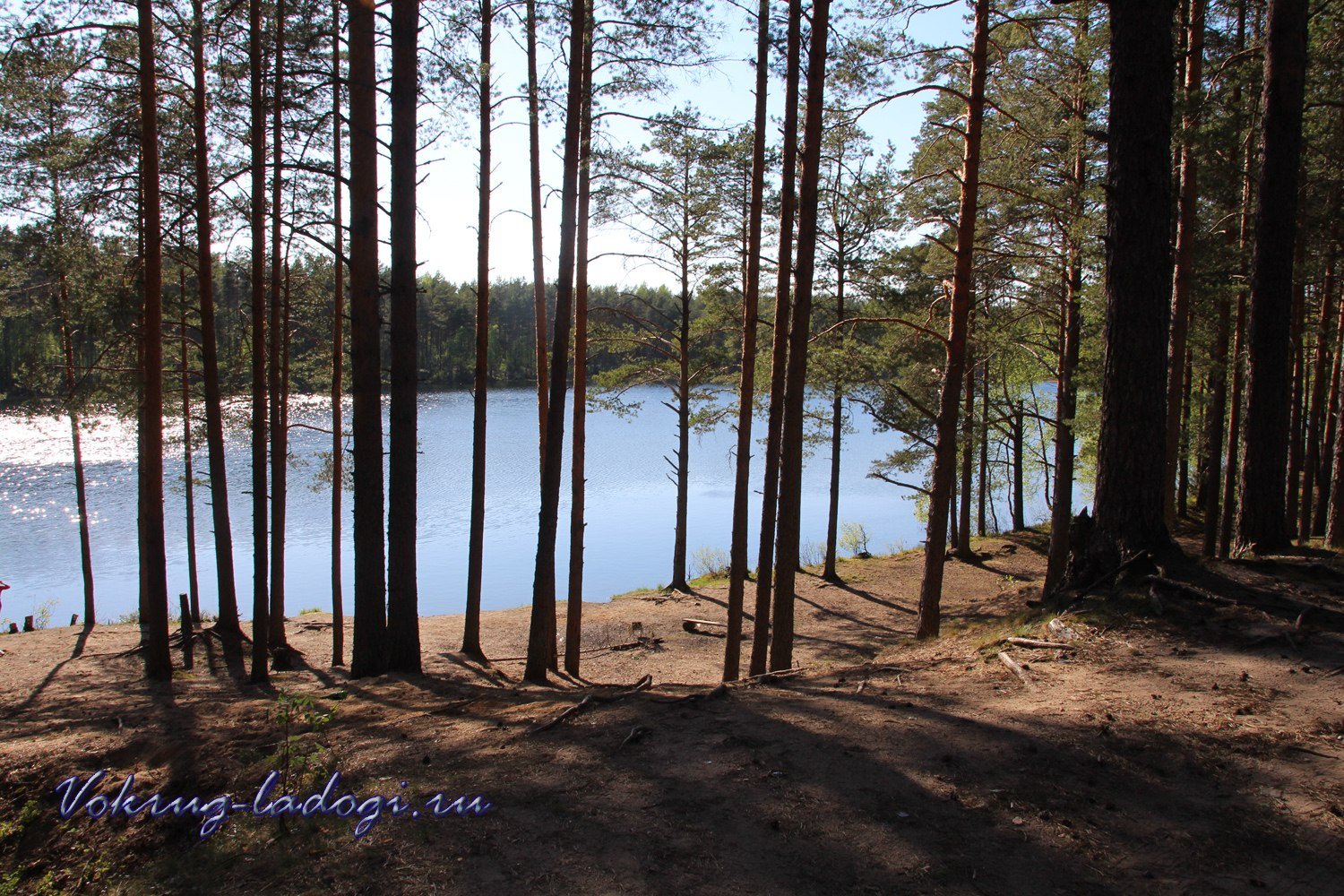 светлое озеро ленинградская область приозерский район