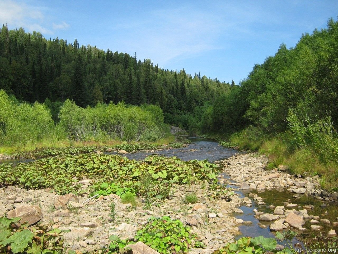 Река Тайдон Кемеровская область