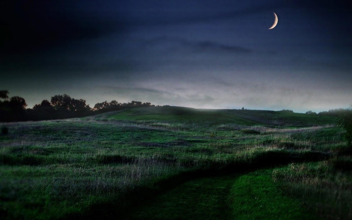 Луна над полями. Поле ночью. Природа ночью. Луг ночью. Летняя ночь.