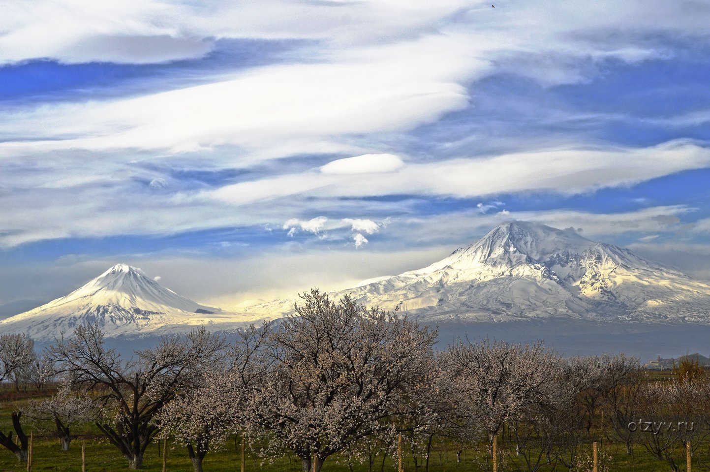 Арарат в турции или армении. Араратская Долина Армения. Гора Арарат с Араратской Долиной. Долина Арарат Цветущая. Армения Ереван Арарат.