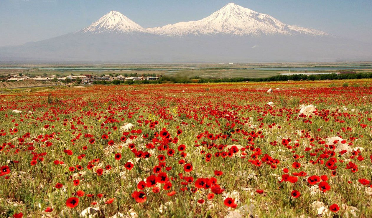 Армения Араратская Долина село Арарат