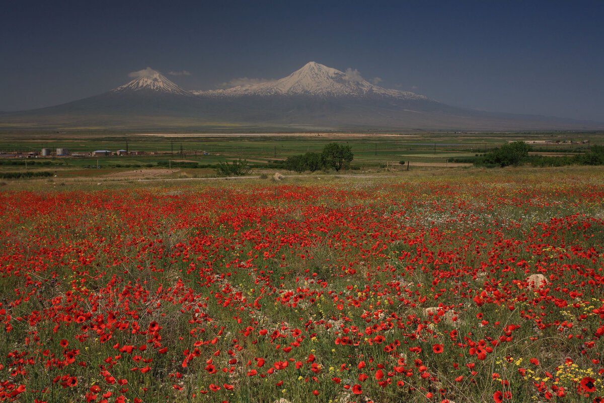 Армения Природа