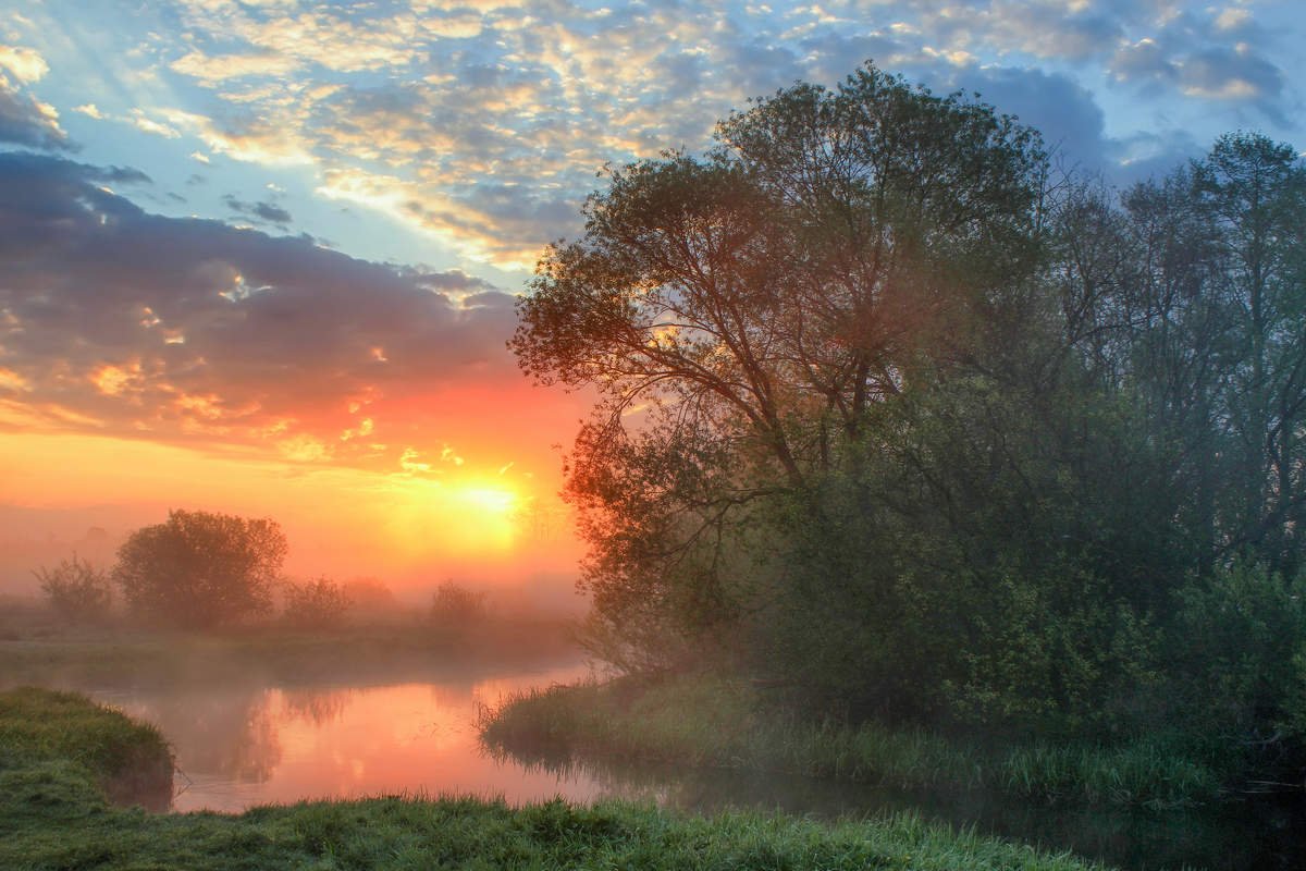 Предрассветный пейзаж