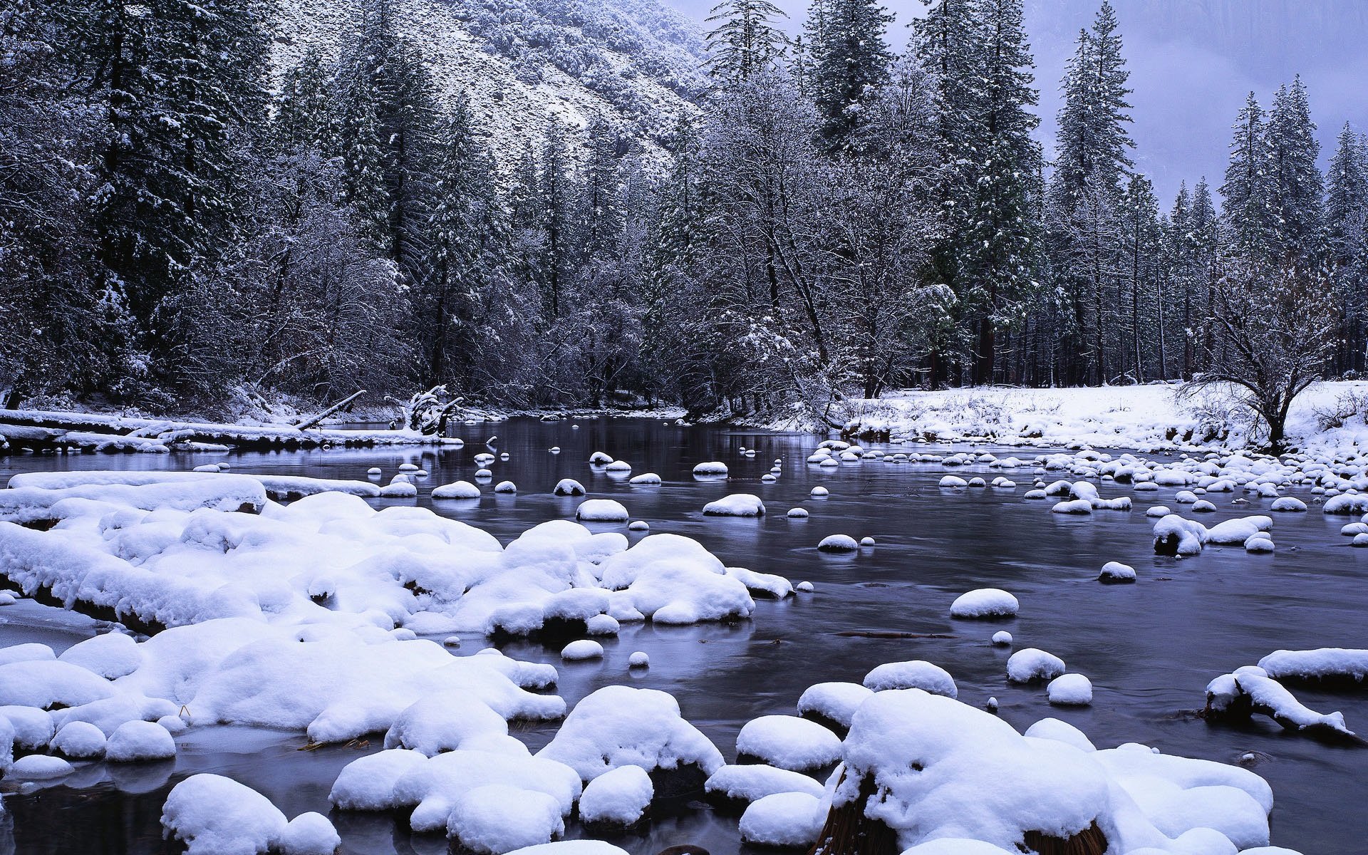 Тают зимние сугробы. Зимний ручей. Река Снежная. Зимний лес с рекой. Таяние снега.