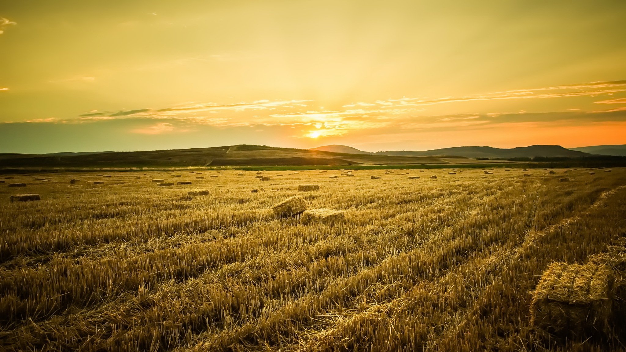 Поле ба. Великие равнины США. Аккерманская степь. Пшеничное поле. Лето в степи.
