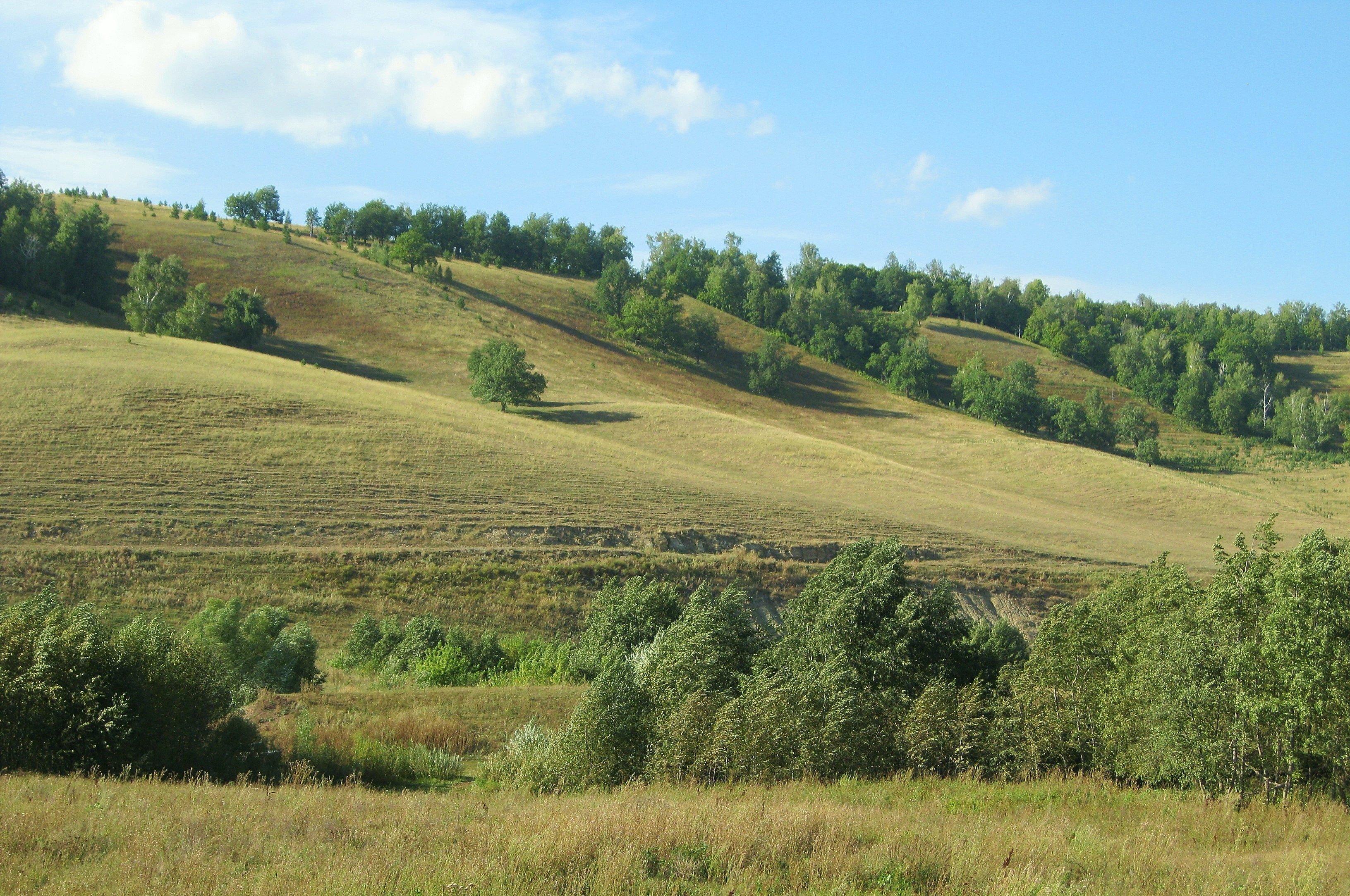 Ст холмы. Башкирия холмы. Холмы Тырново Тринка. Продолговатые холмы Башкирии. Холмы в Новосибирской области.