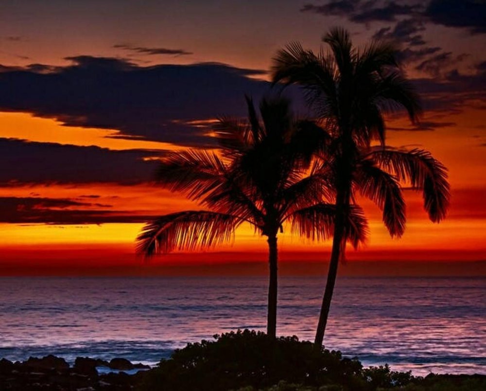 Красивый закат на телефон. Закат на море. Пляж закат. Пальмы на закате. Тропический закат.