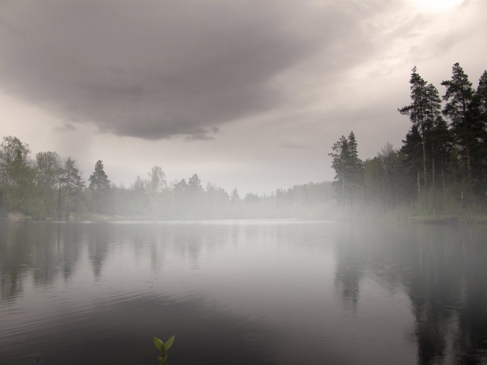 Озеро Рахмановская Старица туман