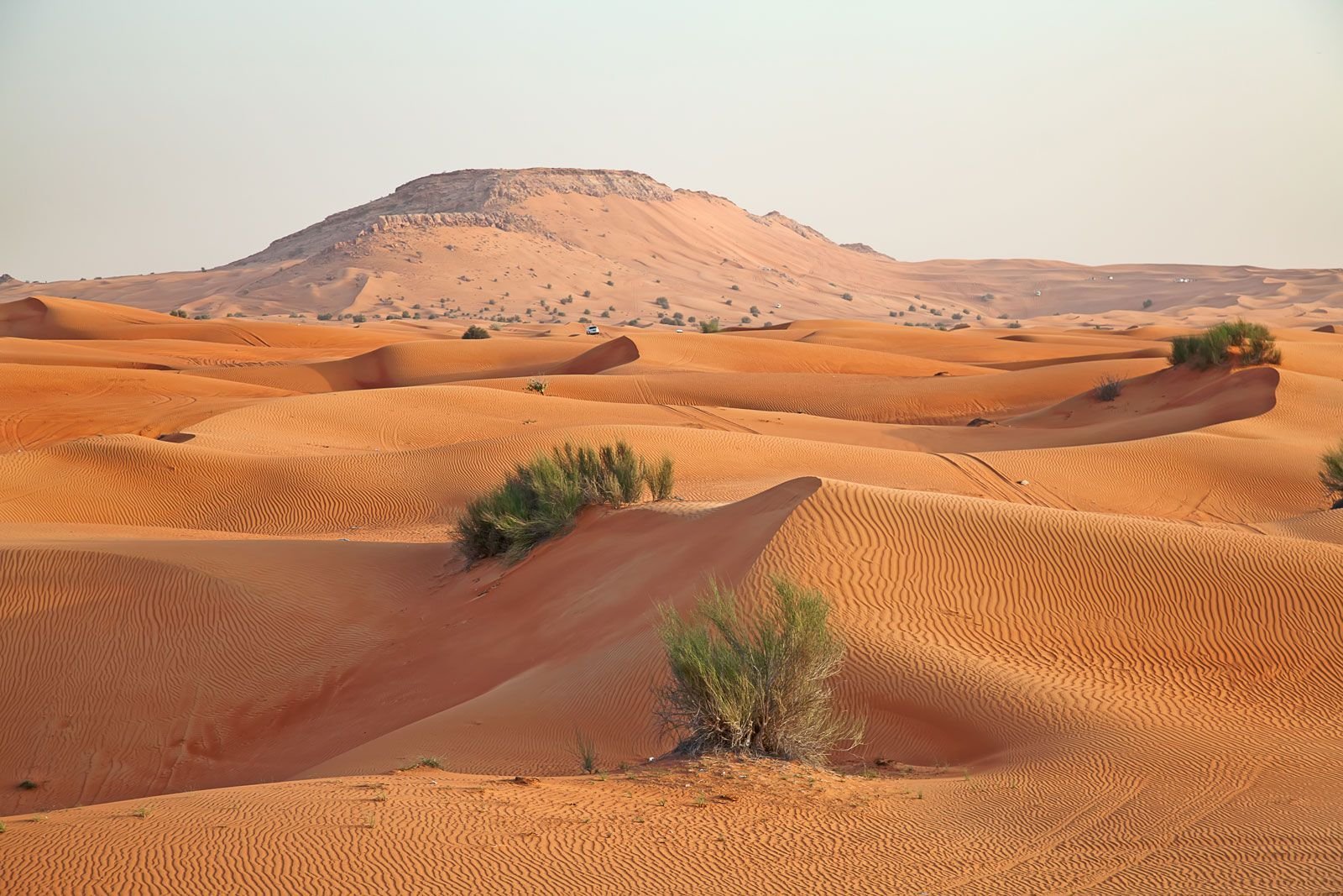 Саудовская аравия песок. Пустыни Аравийского полуострова. Аравийский полуостров Саудовская Аравия. Пустыня на Аравийском полуострове климат. Пустыня Раджастхан.