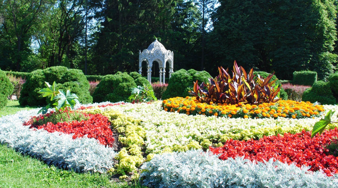 Центральный Ботанический сад Беларуси