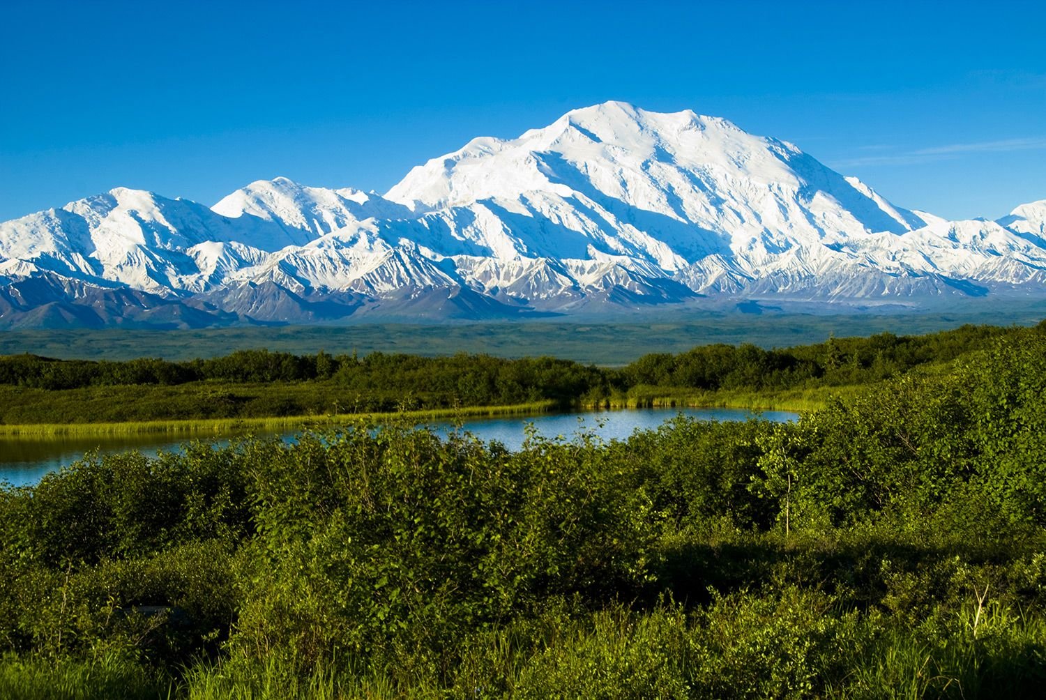 Самый северный нац парк. Северная Америка-гора Мак-Кинли, Аляска. Гора Денали (Мак-Кинли). Гора Маккинли Аляска. Гора Мак Кинли Северная Америка.