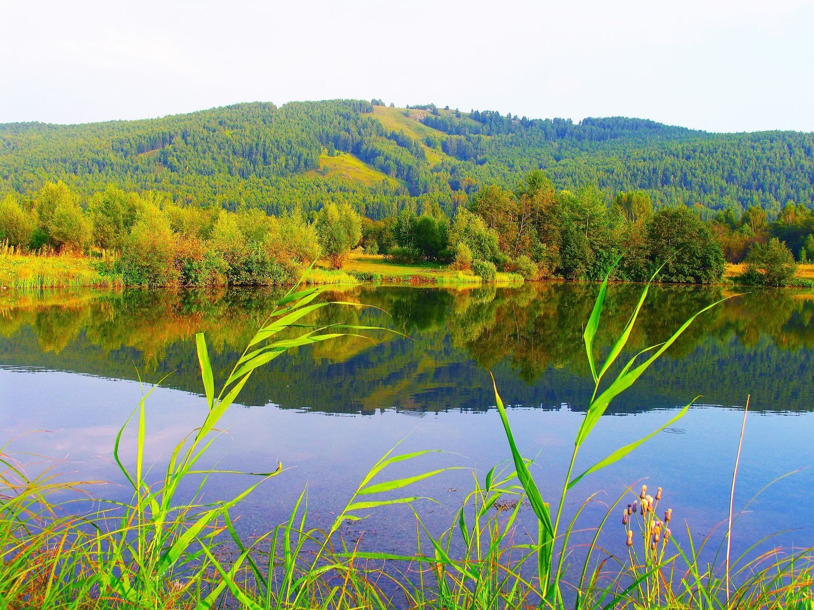 Белое озеро летом. Узункуль (озеро, Башкортостан). Белое озеро Гафурийский район. Желтое озеро Башкирия. Карагайкуль (озеро, Учалинский район).