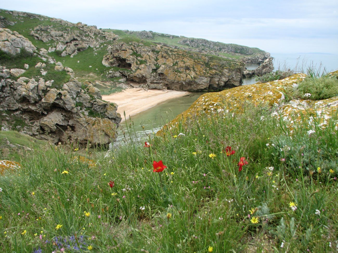 Ена заповедные ландшафты Крыма