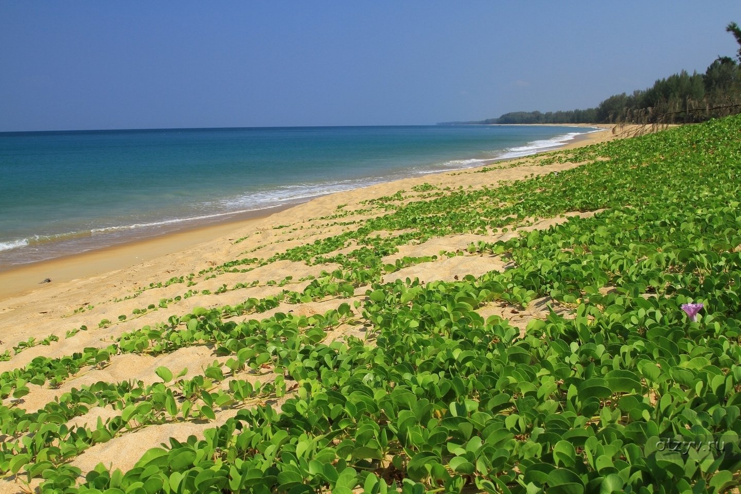 Phuket mai khao. Майкао Бич Пхукет. Пляж Мао као. Mai Khao пляж. Тайланд май Кхао Бич.