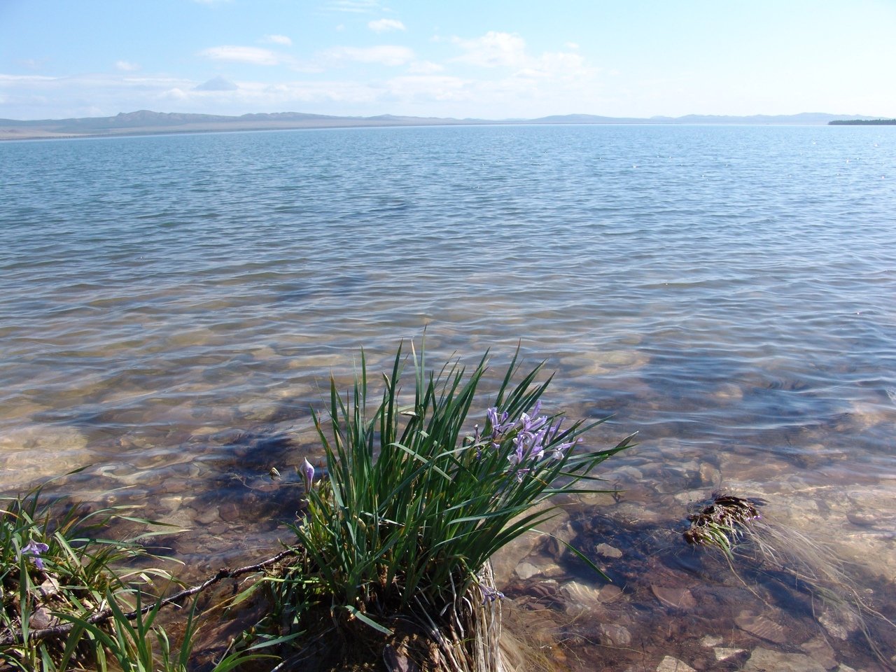 Сайт озеро шира. Озеро Шира. Озеро Тагарское Хакасия. Рейнгольд озеро Хакасия. Улуг-коль озеро Хакасия.