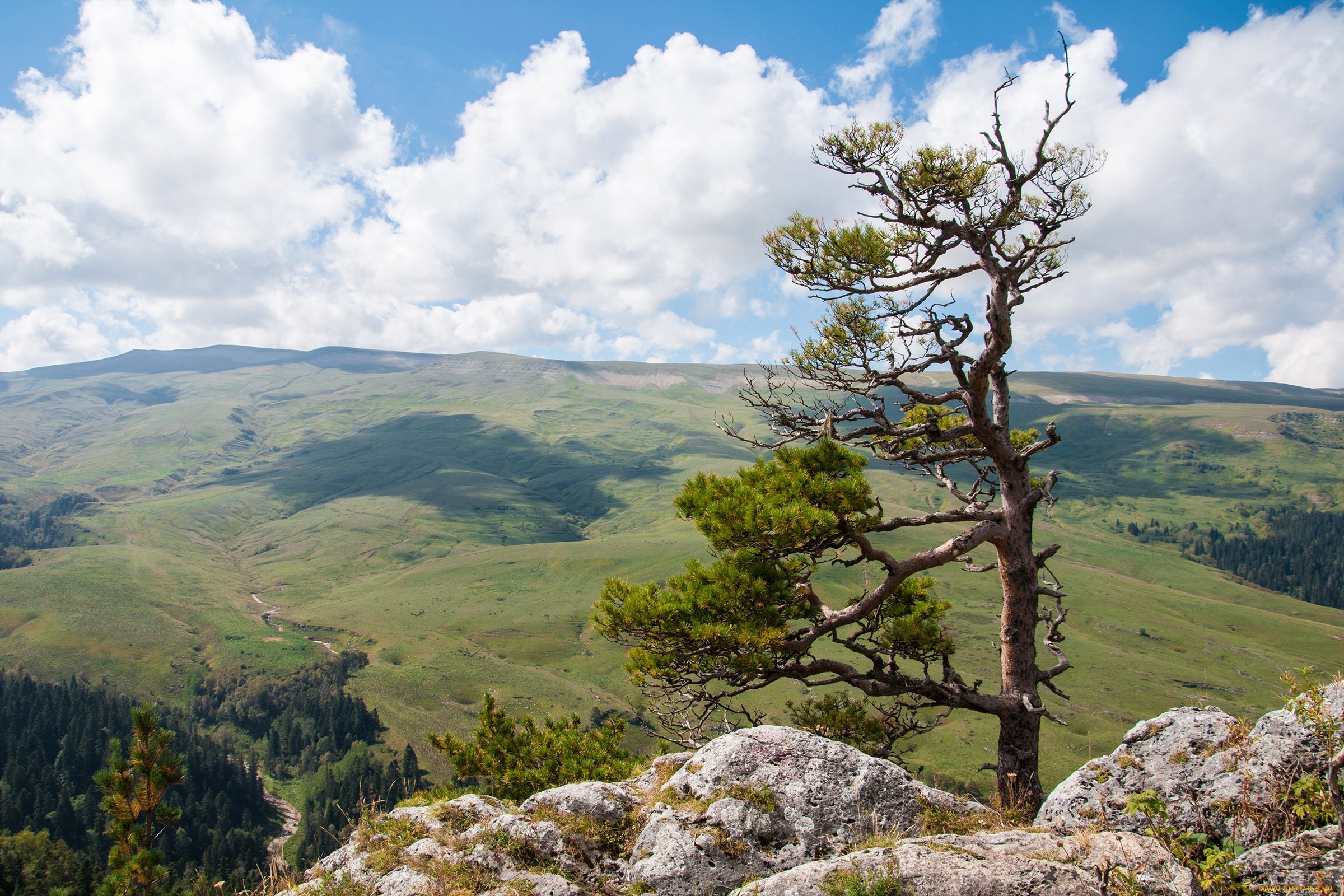 Плато Лагонаки пейзажи