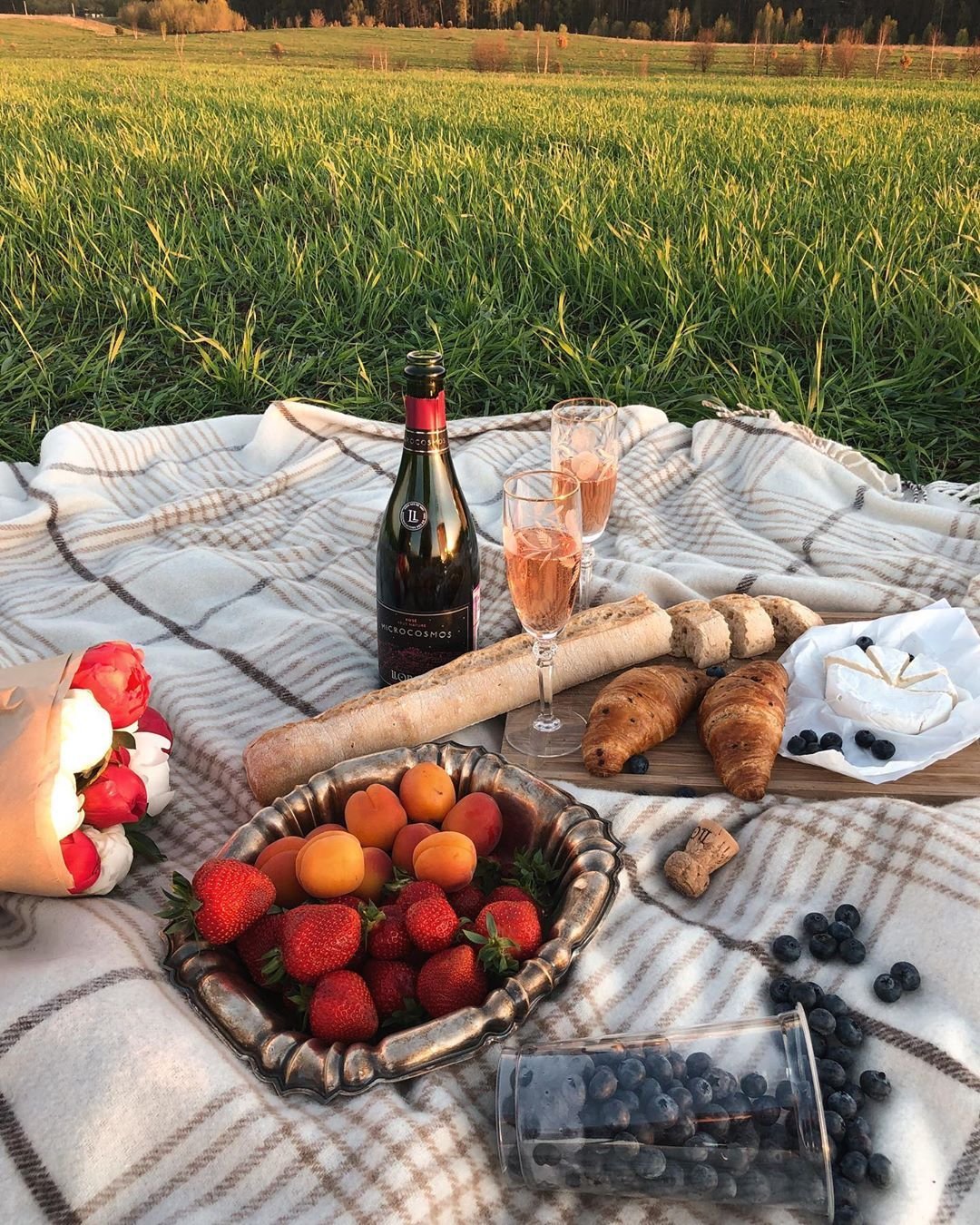 Утро пикник. Вино пикник Pique-nique. Пикник на природе. Романтический пикник на природе. Летний пикник.