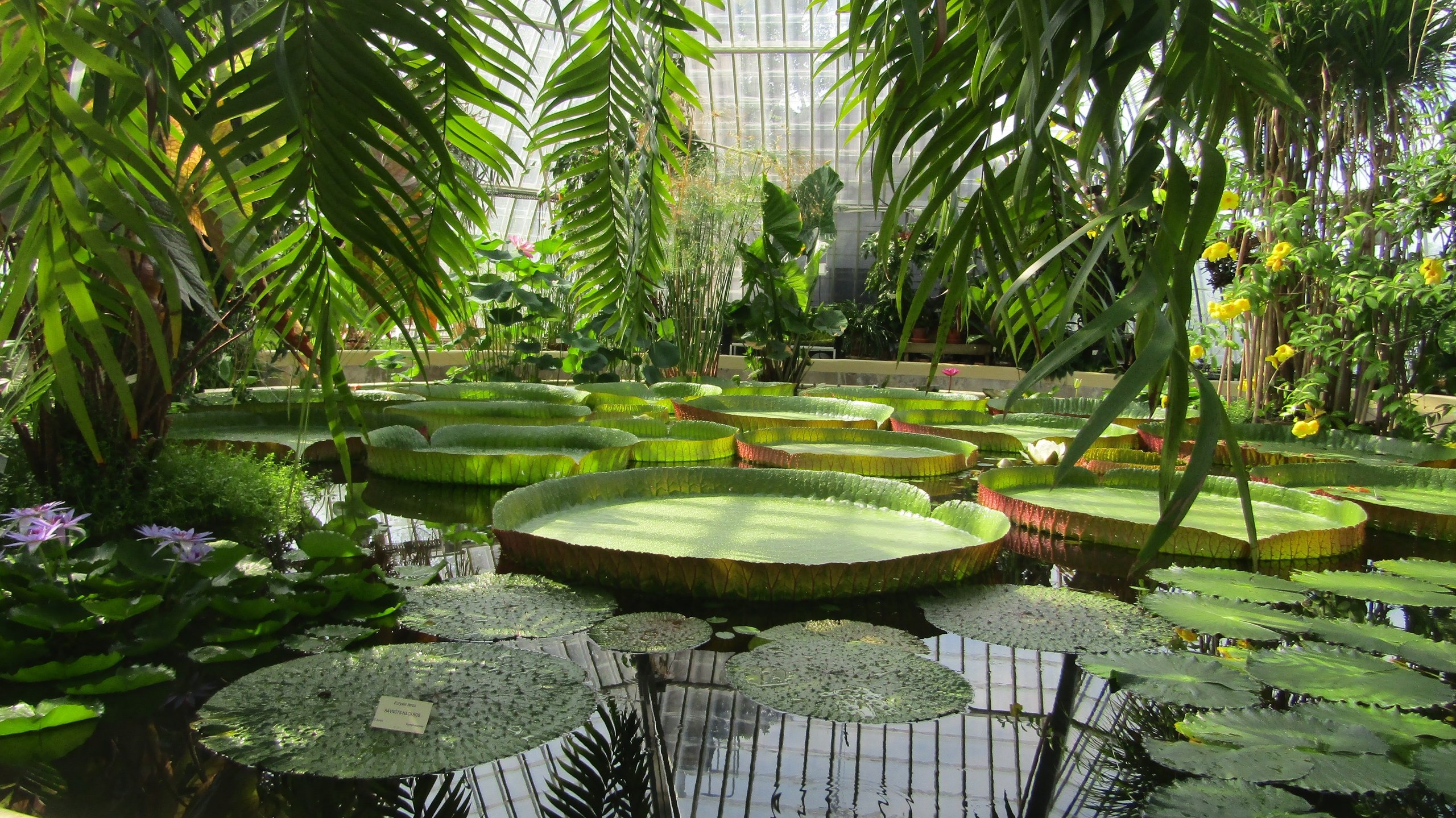 Ташкентский ботанический сад