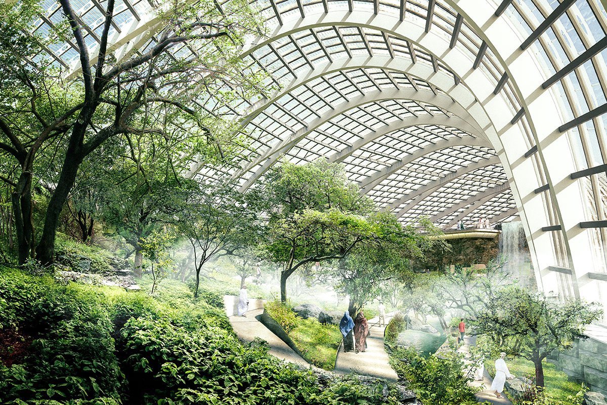 Ботанический сад Омана проект
