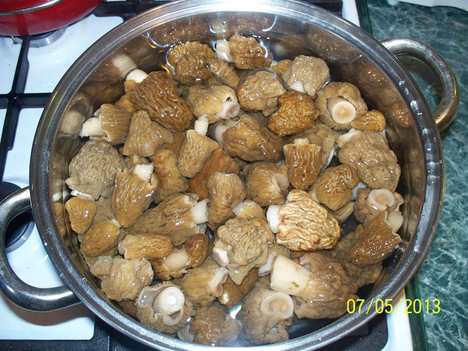 Как правильно приготовить сморчки грибы