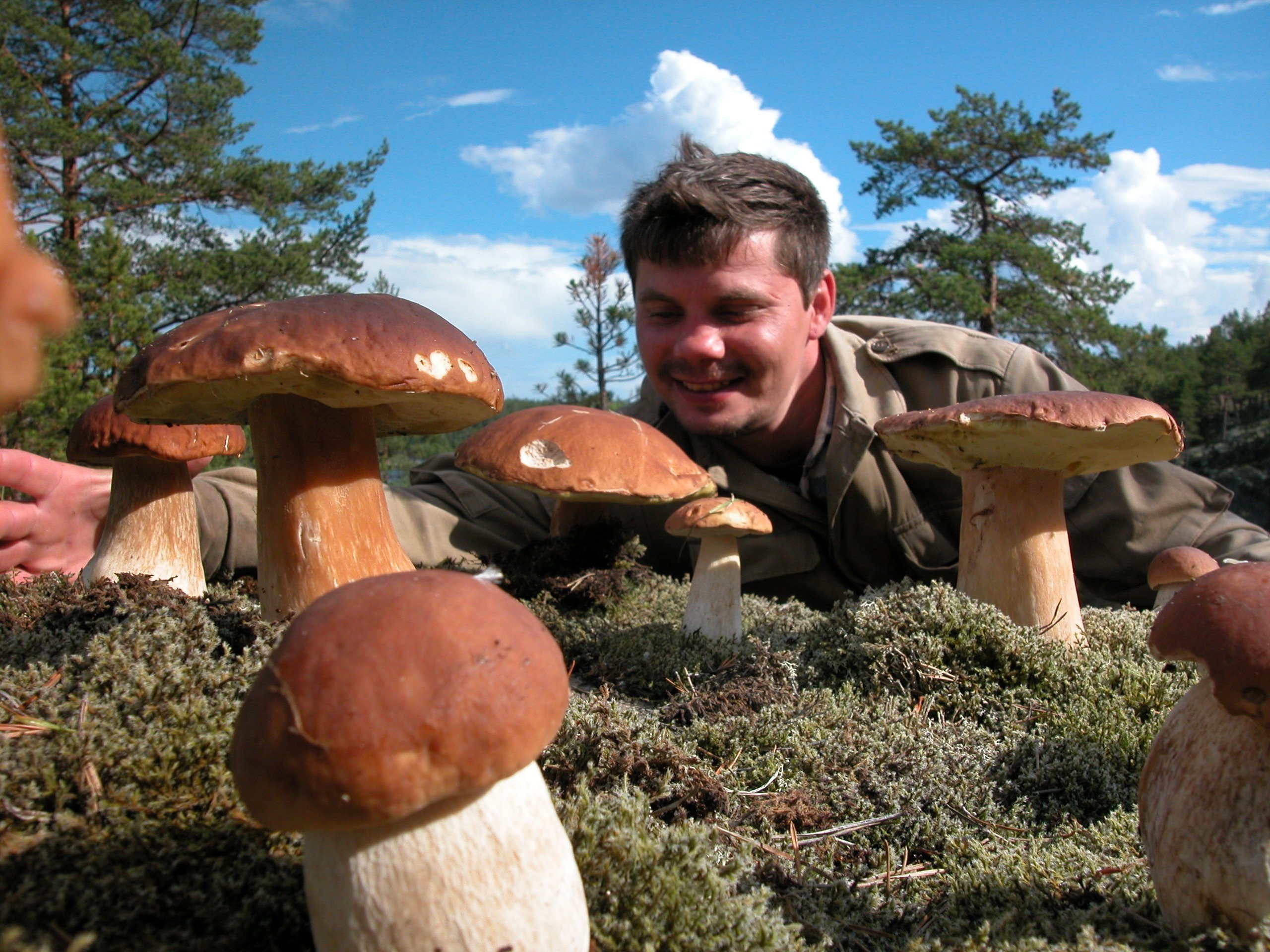 Кто куда а я за грибами 2024. Грибы на Командорских островах. Белый гриб. Большой белый гриб. Огромный белый гриб.
