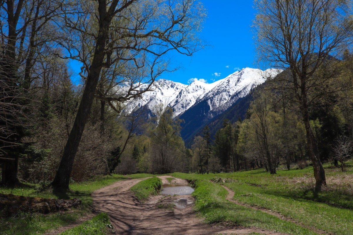 Водопад чигордали архыз фото