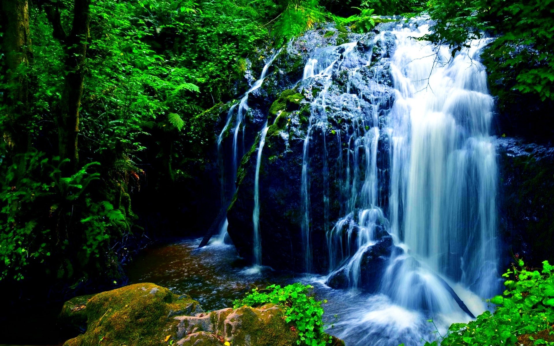 Установить видео живые обои. Природа водопад. Живая природа водопады. Красивые водопады. Обои на рабочий стол водопад.