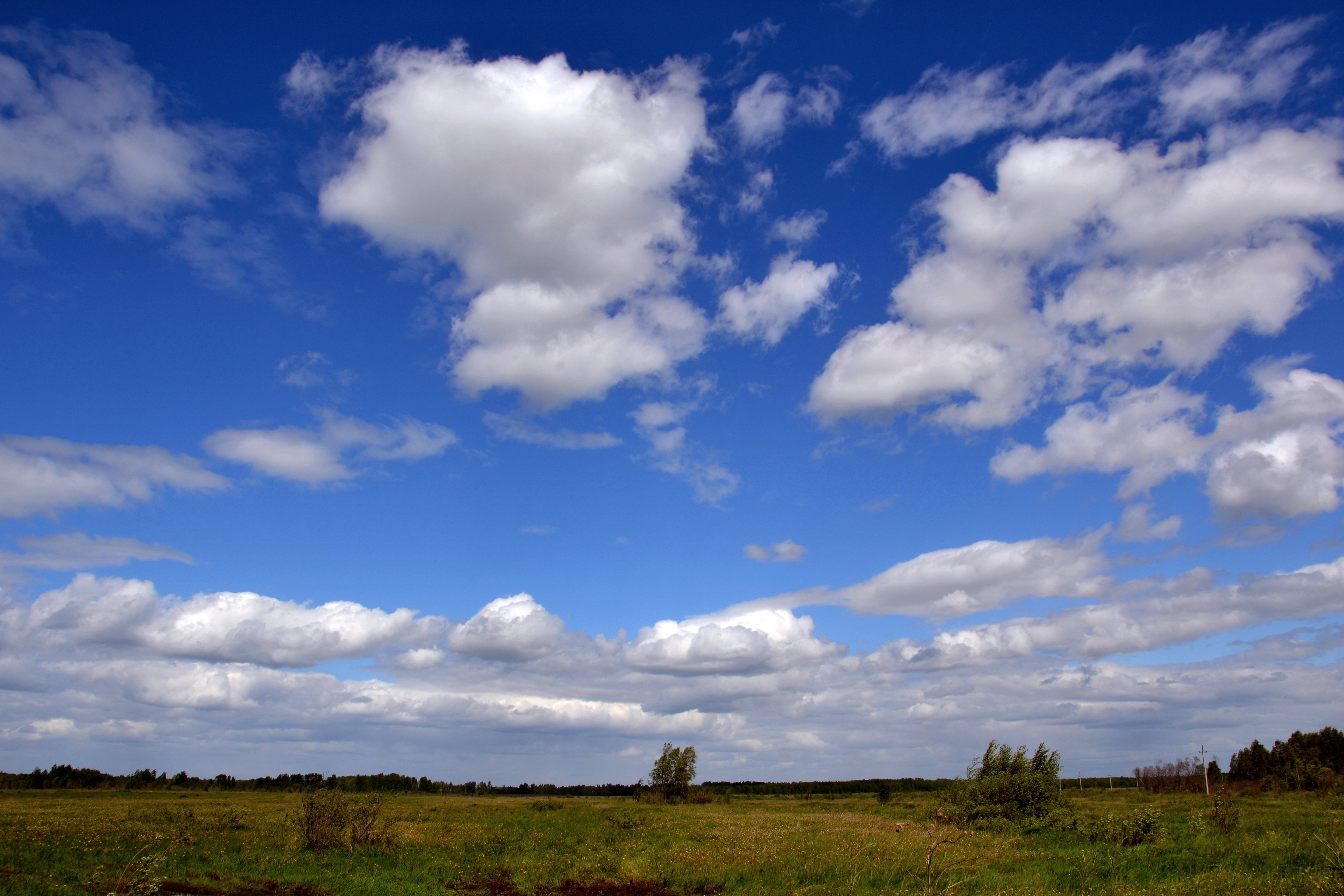 Село небо. Облака. Облака в степи. Облака Горизонт. Небо.