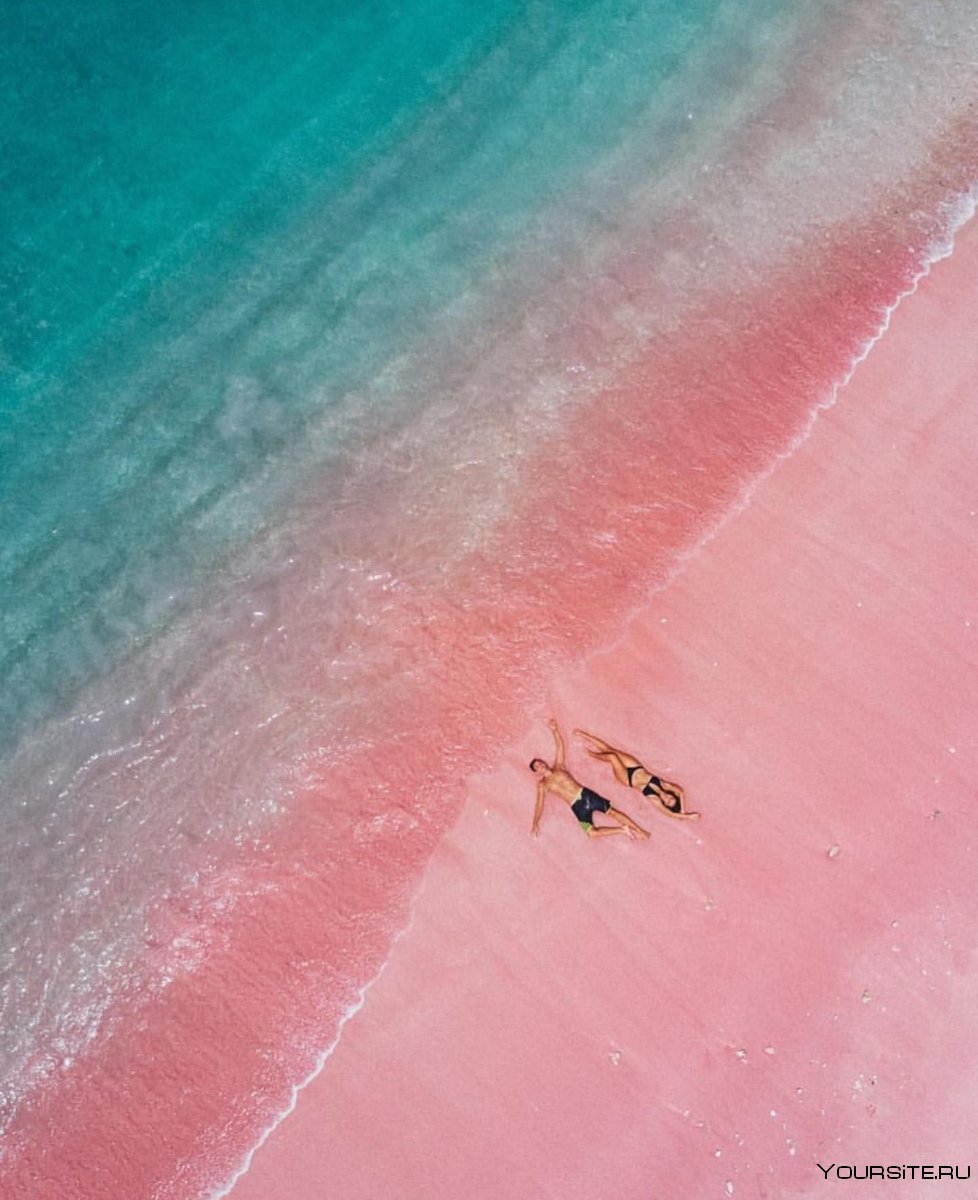 Остров Комодо Индонезия розовый пляж