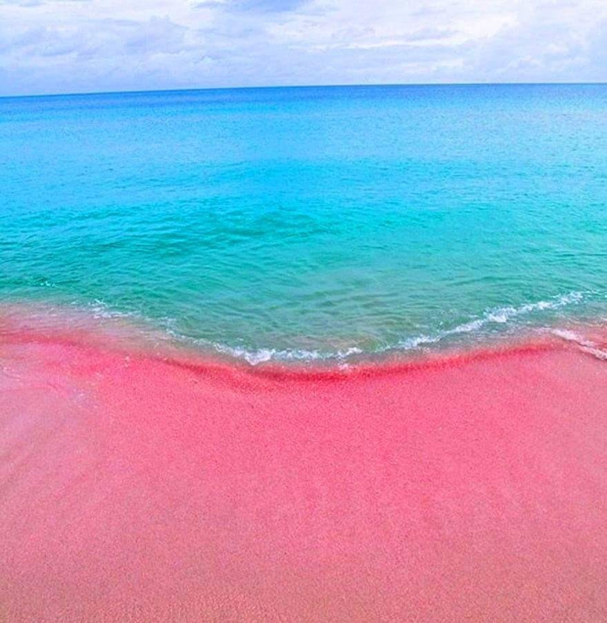 Багамы – Pink Sands