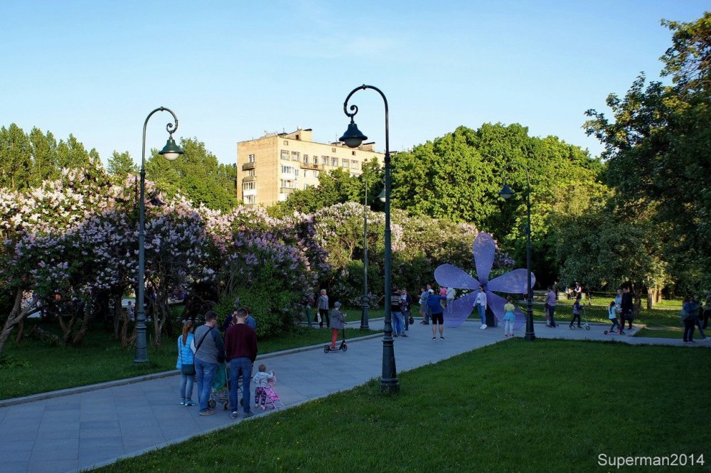 Сиреневый сад Черкизовская