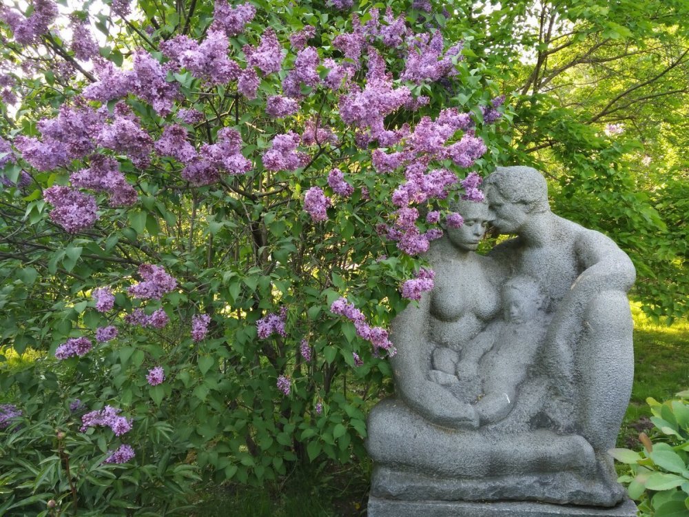 Сиреневый сад Измайловский парк