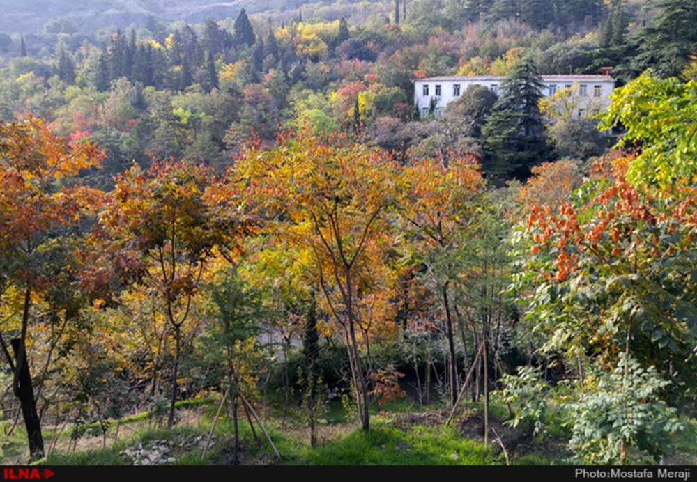 Грузия Ботанический сад Тбилиси