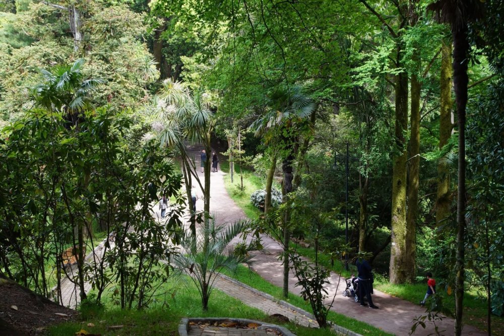 Тбилисский Ботанический сад Грузии