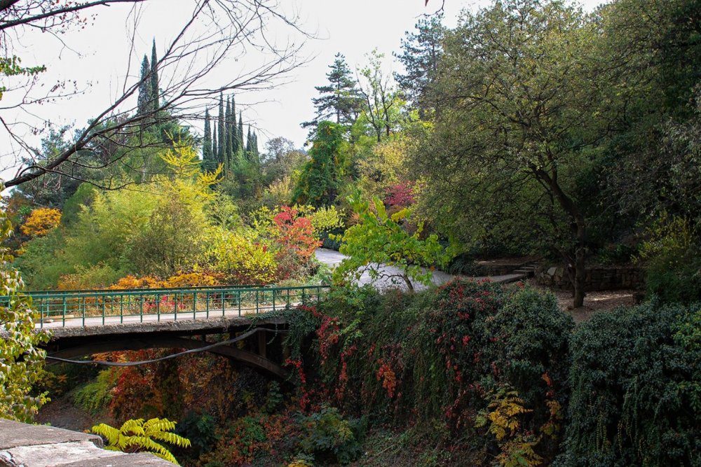 Грузия Ботанический сад Тбилиси