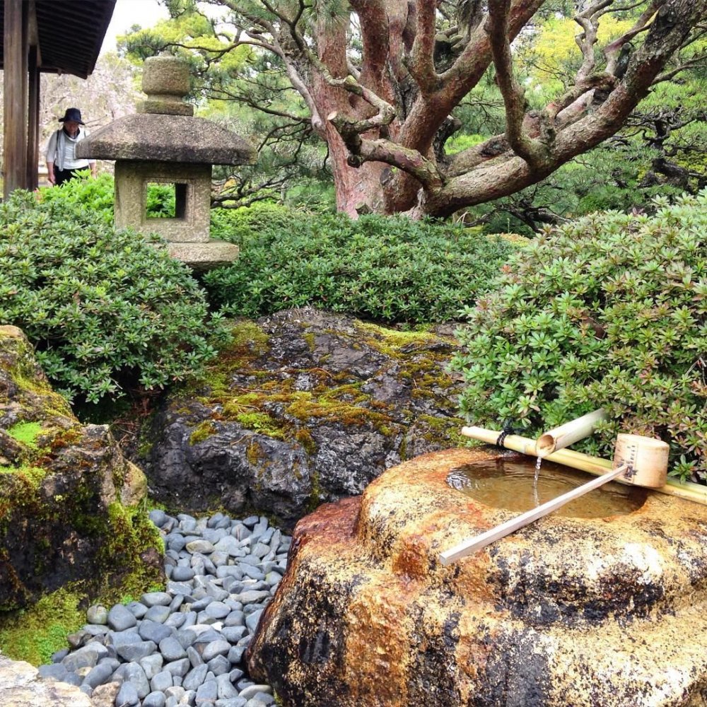 Японский сад Кадзуко айоаи