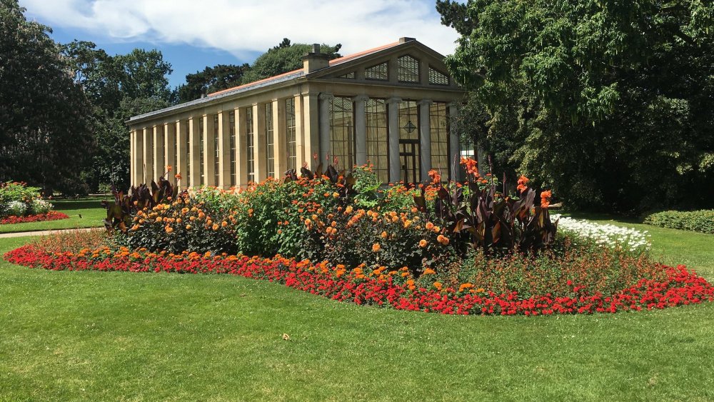 Ботанический сад Нальчик
